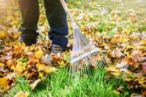 fall-lawn-care-custom-lawn-kc-raking-leaves