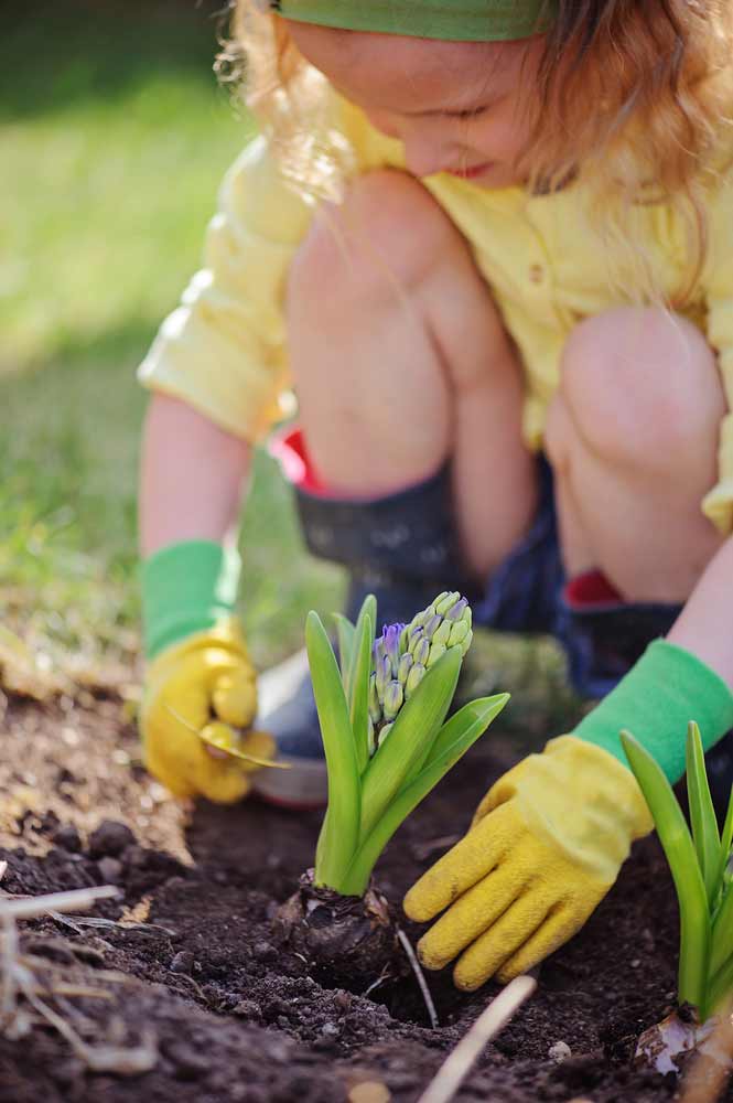 planting spring bulbs in fall in kansas city