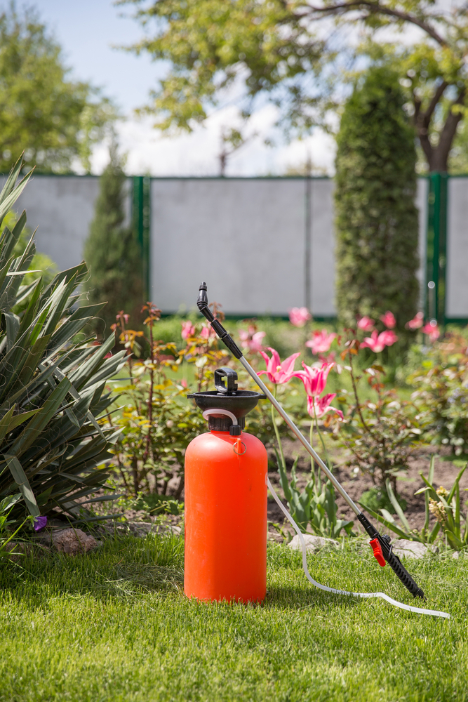 custom-lawn-fall-weed-control