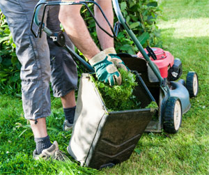 Lawn Mower Grass Catcher Full of Grass