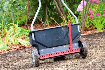 lawn seeding in Kansas City