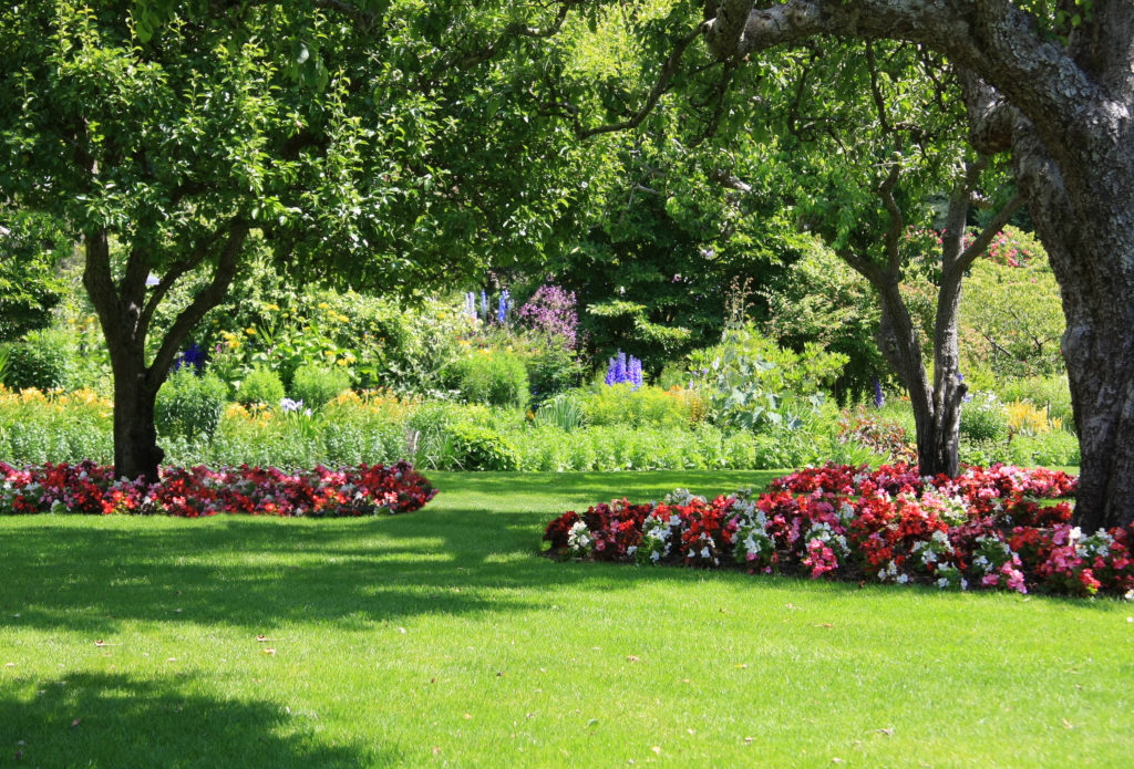 Shade Garden In Beautiful Lawn