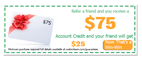 Customer Referral Program Coupon